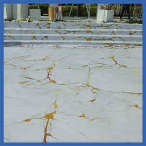 Printed Dance Floor (6*6)