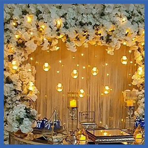 Backdrop 2*220 CM