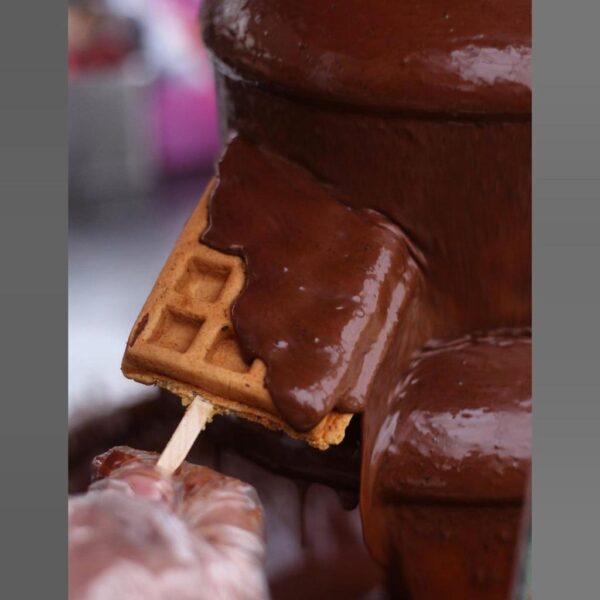 Waffle Sticks By The Fountain