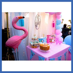 Gender Reveal