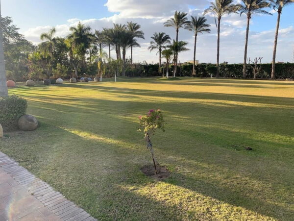 Villa Twilight - Image 7