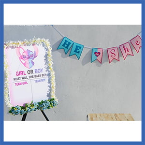 Gender reveal Welcome Board