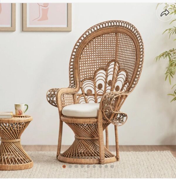 Peacock Kosha Chair - Image 2
