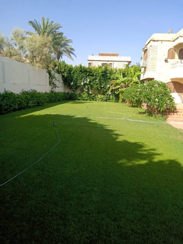 Beach villa - Image 4