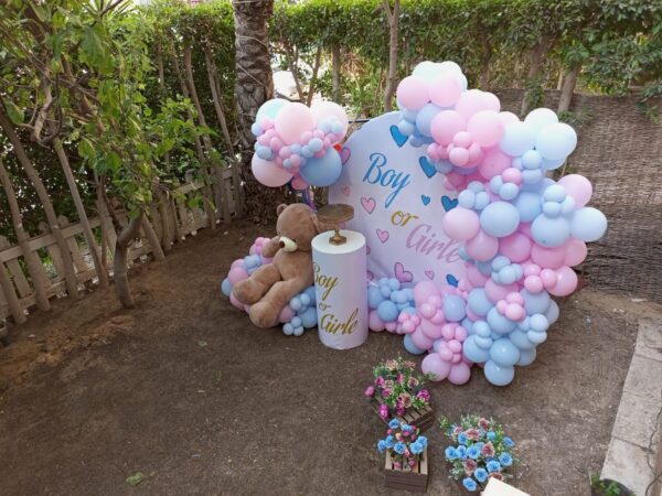 Gender Reveal Set - Image 2