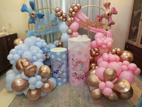 Gender Reveal Backdrop