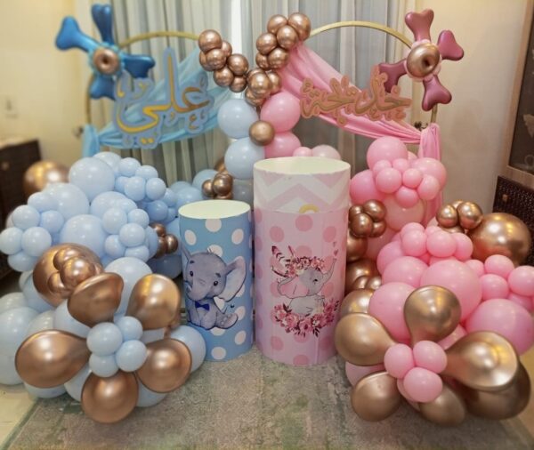 Gender Reveal Backdrop