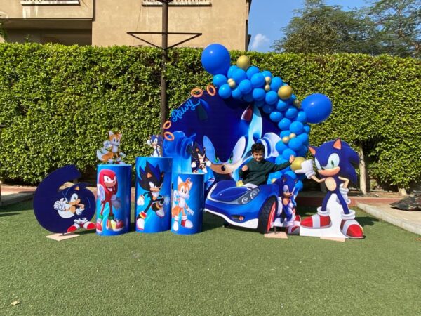 Sonic Backdrop
