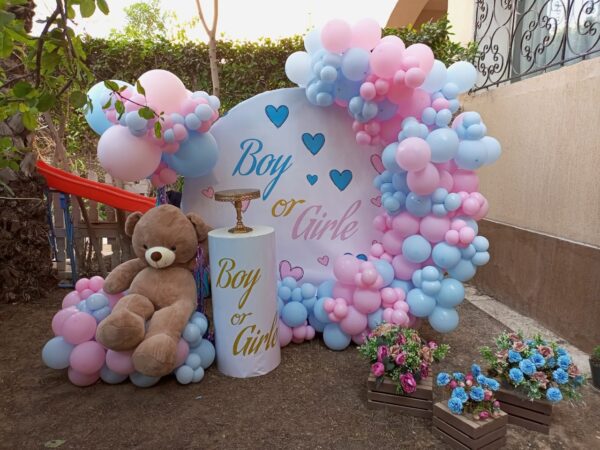 Gender Reveal Set