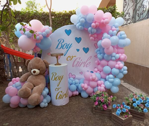 Gender Reveal Set