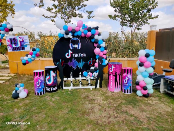 Tiktok Backdrop