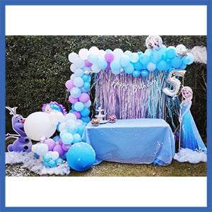 Frozen Theme