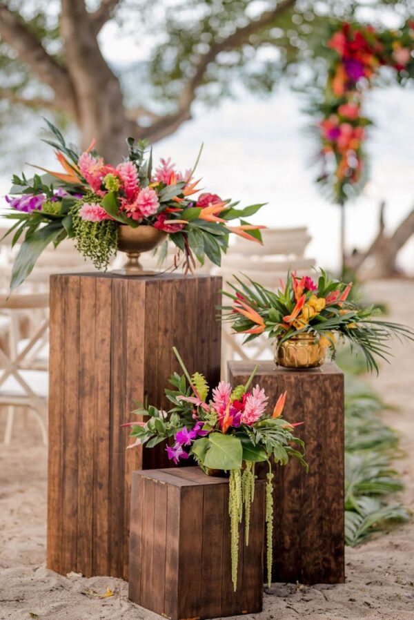 Tropical Theme Package C - Image 3