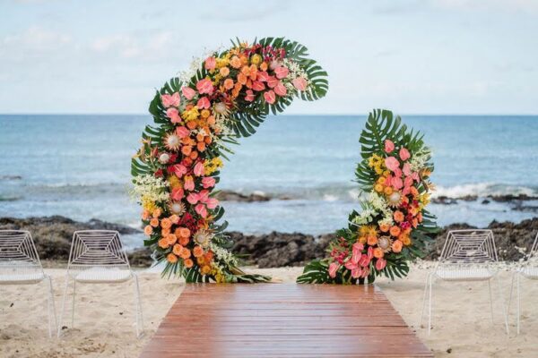 Tropical Theme Package C