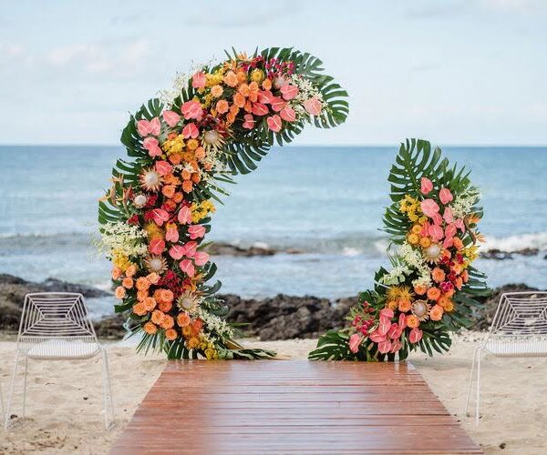 Tropical Theme Package A