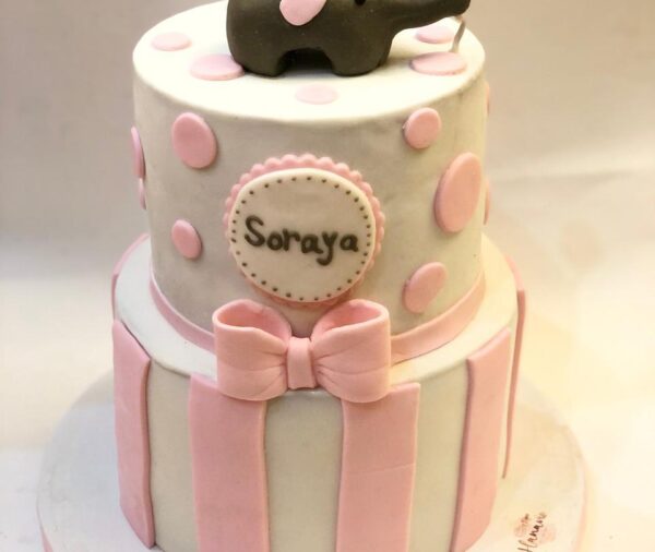 Baby shower cake by Hanavio