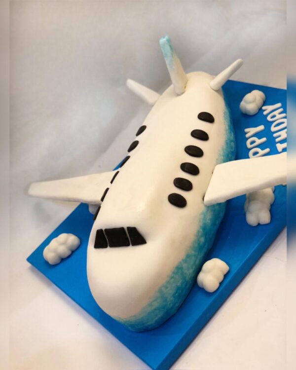 3D Airplane cake by Hanavio