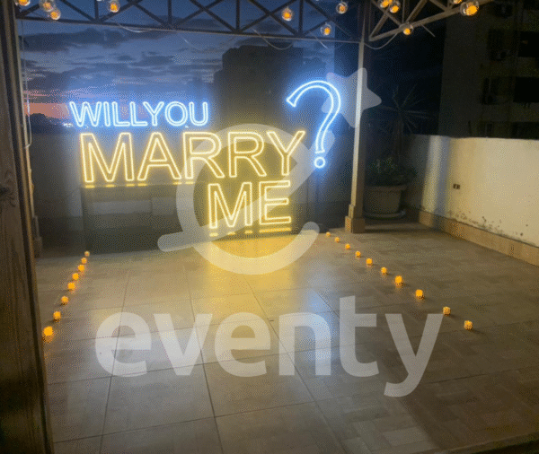 Will You Marry Me Neon Sign