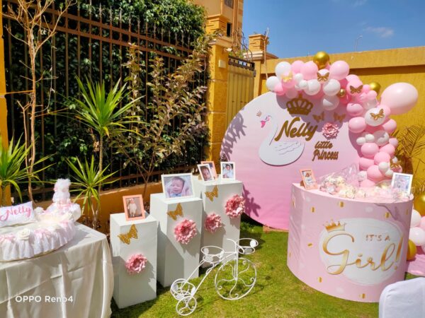 Pinky Backdrop - Image 2