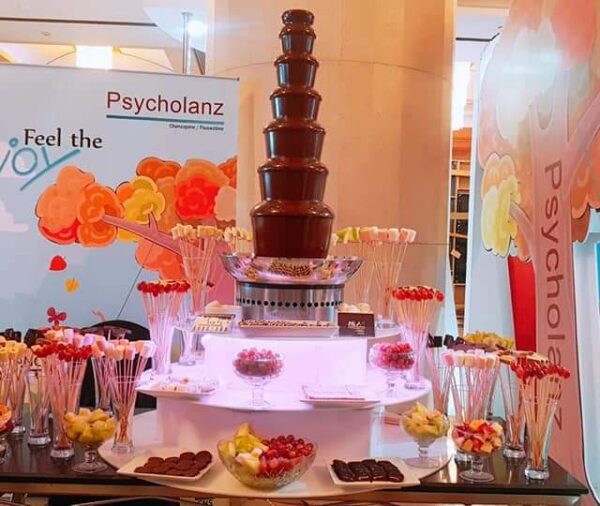 Chocolate Fountain 7 levels